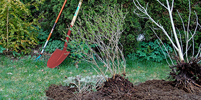 Gartenarbeiten